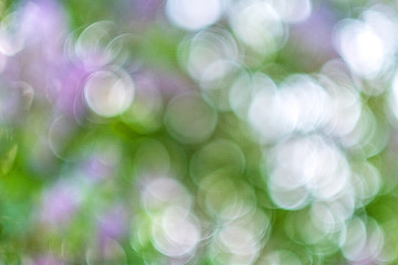 Image showing Abstract blur of nature 