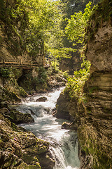 Image showing The fabulous Vintgar Gorge in Slovenia near lake Bled