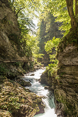 Image showing The fabulous Vintgar Gorge in Slovenia near lake Bled