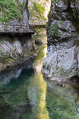 Image showing The fabulous Vintgar Gorge in Slovenia near lake Bled