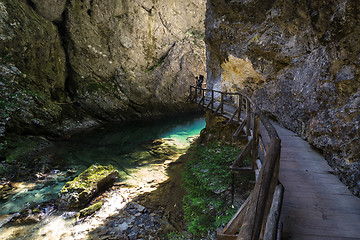 Image showing Man carrying child hiking in Vintgar gorge in Slovenia near lake Bled.