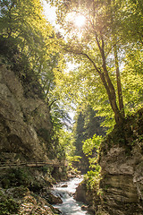 Image showing The fabulous Vintgar Gorge in Slovenia near lake Bled