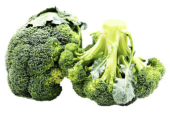 Image showing Two Raw Broccoli