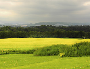 Image showing Belgium Rustic Landscape