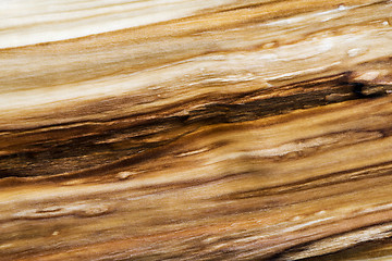 Image showing Wood texture (background)