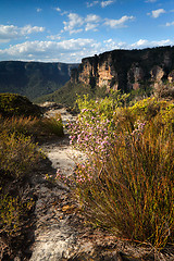 Image showing Views across the clifftops Blue Mountains Australia