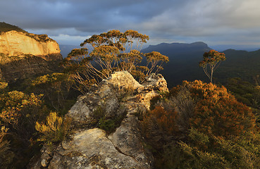 Image showing Blue Mountains, Jamison Valley to Mount Solitary