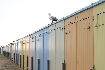 Image showing Seagull on beachhouse