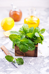 Image showing fresh mint