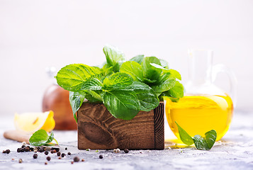 Image showing fresh mint