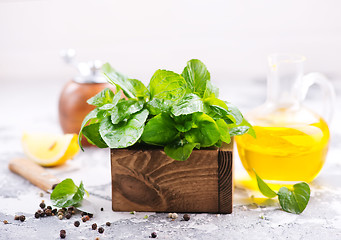 Image showing fresh mint