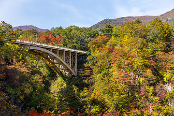 Image showing Ofukazawa Bashi bridge in autumn season