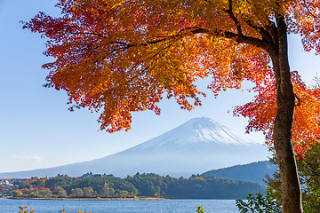 Image showing Mount Fuji and autumn maple leaves