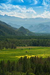 Image showing Beauty colors of summer Altai