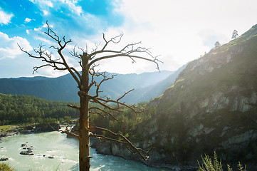 Image showing Sunny day in mountain on river Katun