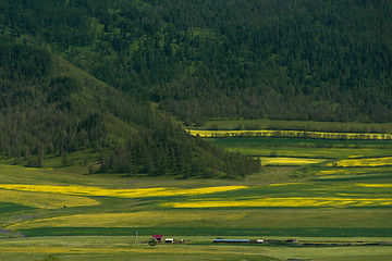 Image showing Beauty colors of summer Altai