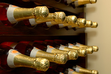 Image showing Winery-Wine Bottles