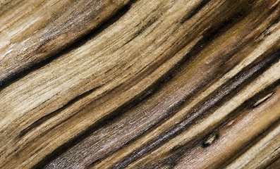 Image showing Wood texture (background)