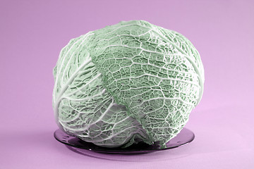 Image showing Green cabbage vegetable