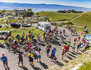 Image showing The Peloton on Col du Grand Colombier - Tour de France 2016