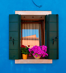 Image showing Window with flowers