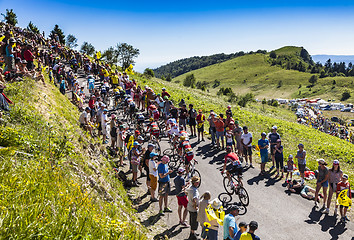 Image showing The Peloton on Col du Grand Colombier - Tour de France 2016