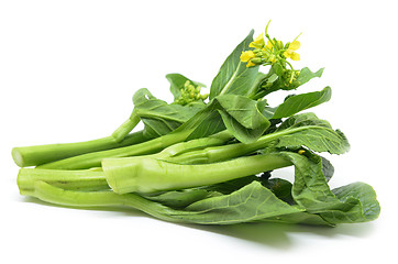 Image showing Bunch of floral choy sum green vegetable