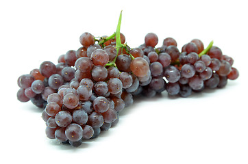 Image showing Gourmet champagne grapes