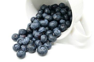 Image showing Tasty blueberries isolated