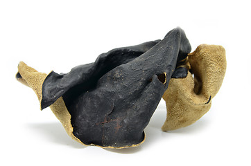 Image showing Dried chinese delicacy black muer fungus