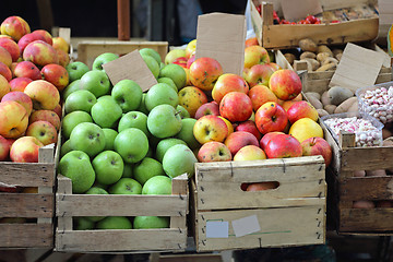 Image showing Apples