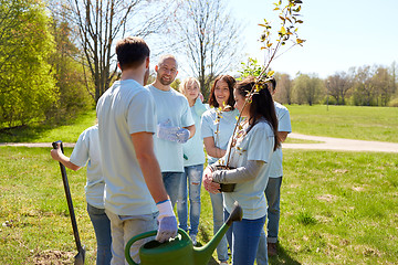 Image showing group of volunteers with tree seedlings in park