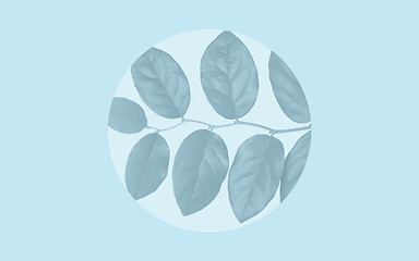 Image showing faded leaves over blue background