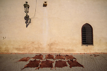 Image showing Leather drying in a Moroccan tannery