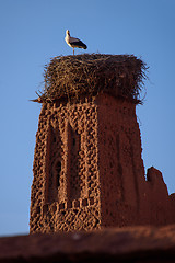 Image showing Stork on the old kasbah tower, Morocco.