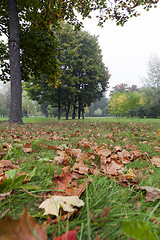 Image showing autumn landscape, park