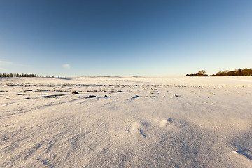 Image showing landscape in winter