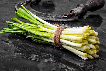 Image showing Bunch of fresh wild garlic