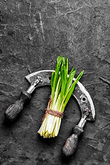 Image showing Bunch of fresh wild garlic