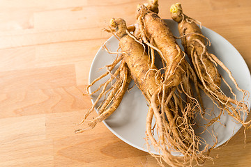 Image showing Fresh Ginseng on table