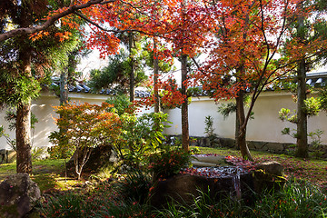 Image showing Kokoen Garden