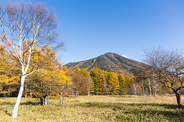 Image showing Mount Nantai in autumn season