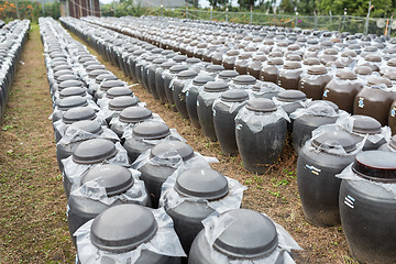 Image showing Row of Vinegar Barrel