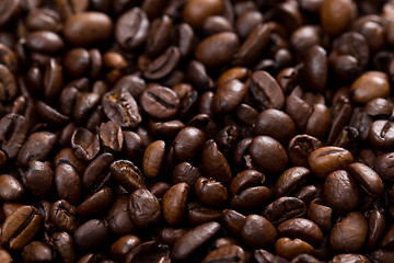 Image showing Coffee bean