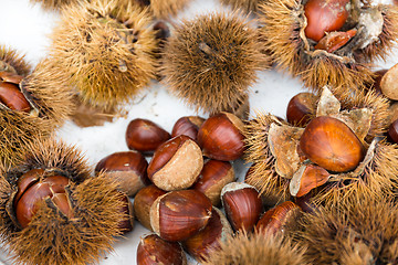 Image showing Fresh Chesnut