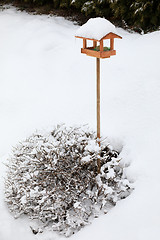 Image showing simple bird feeder in winter garden