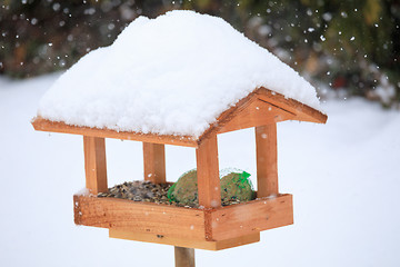 Image showing simple bird feeder in winter garden