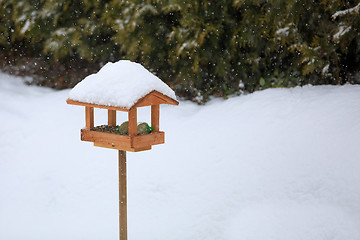 Image showing simple bird feeder in winter garden