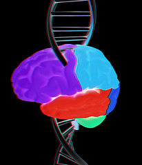 Image showing Brain and dna. 3d illustration. Anaglyph. View with red/cyan gla