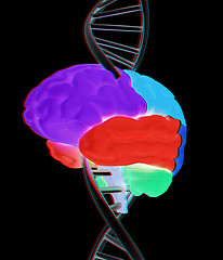 Image showing Brain and dna. 3d illustration. Anaglyph. View with red/cyan gla